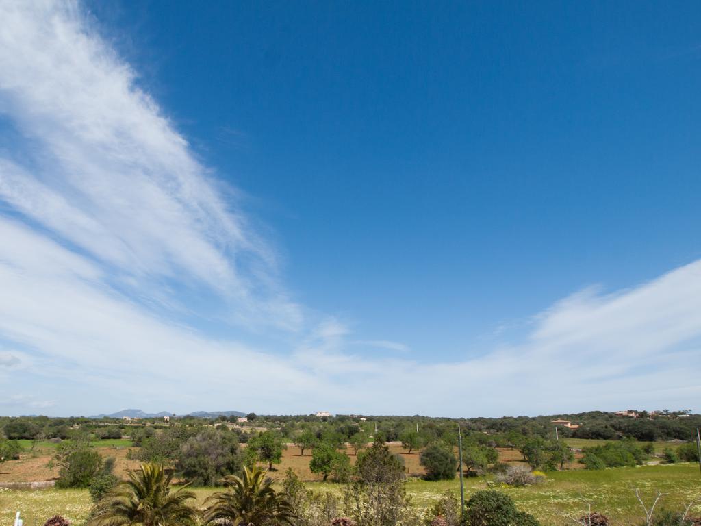 Agroturismo S Hort De Can Carrio Ag226 Ses Salines  Exterior foto